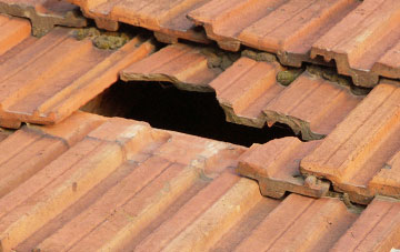 roof repair Caer Lan, Powys